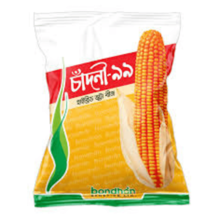 Bondhon Maize Seeds- Chandni-99