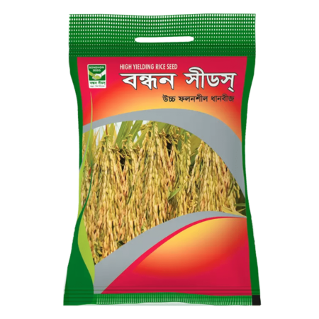 Bondhon Rice Seeds- BRI 28/29/58