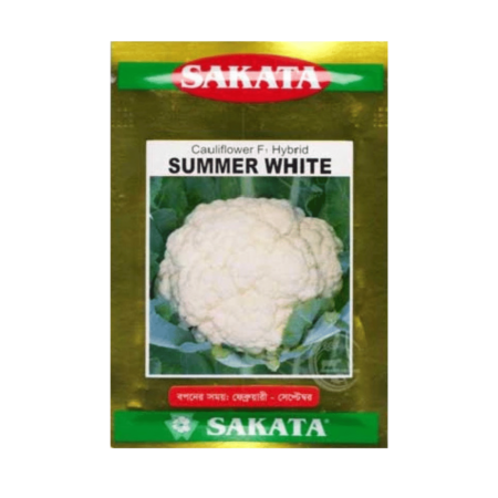 F1 Hybrid Cauliflower Seeds Summer White