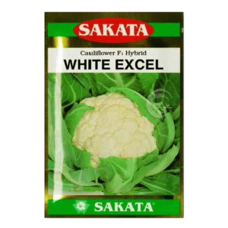 F1 Hybrid Cauliflower Seeds White Excel