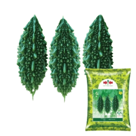 F1 Hybrid Bitter Gourd Seeds Pasha