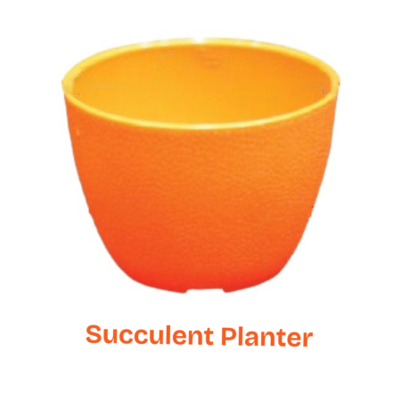 Flower Tob- Succulent Planter