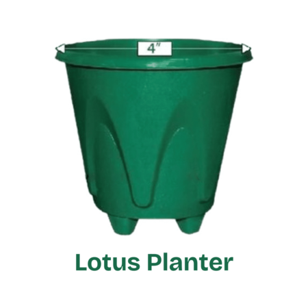 Flower Tob- Lotus Planter