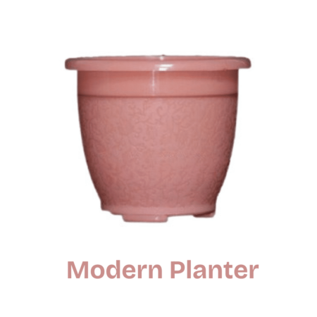 Flower Tob- Modern Planter