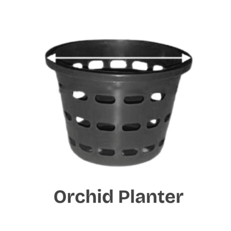 Flower Tob- Orchid Planter