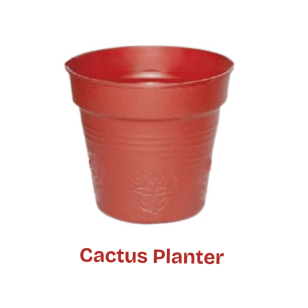 Flower Tob- Cactus Planter