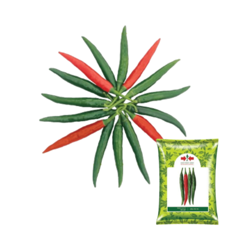 F1 Hybrid Chili Seeds Red Hot