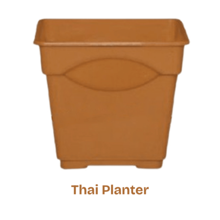 Flower Tob- Thai Planter