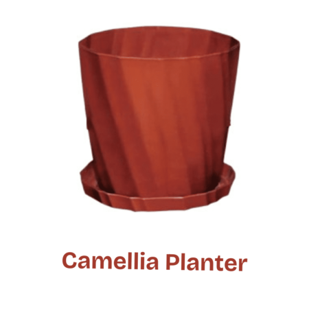Flower Tob- Camellia Planter