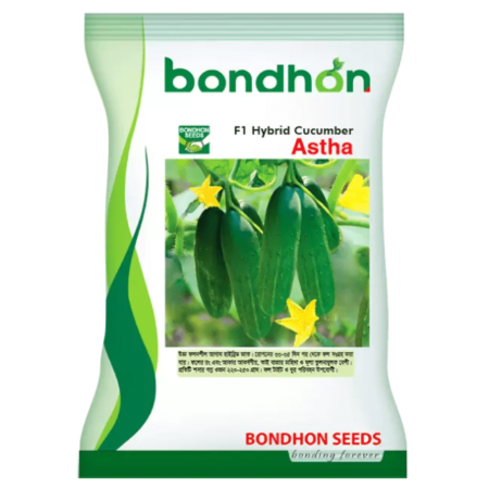 Bondhon Cucumber Seeds- Astha