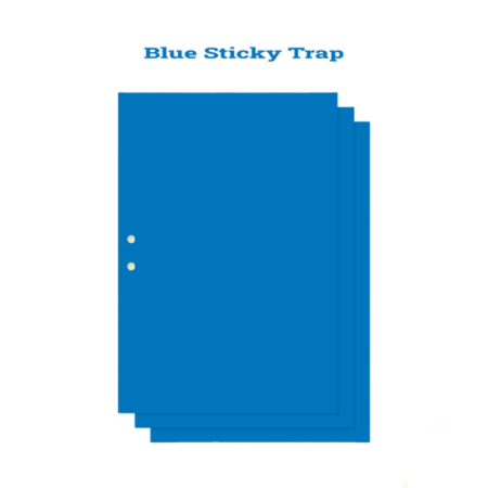 Blue Sticky Trap Small