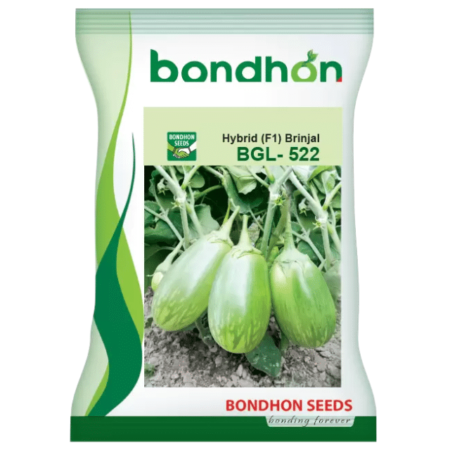 Bondhon Brinjal Seeds- BGL-522