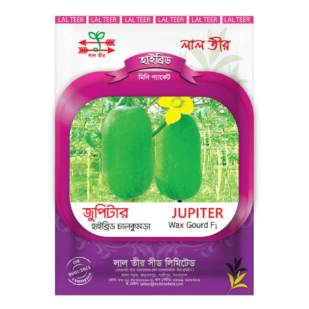 F1 Hybrid Wax Gourd Seeds Jupiter