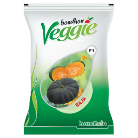Bondhon Pumpkin Seeds- Raja