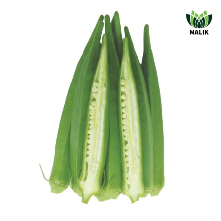 F1 Hybrid Okra Seeds Shanti