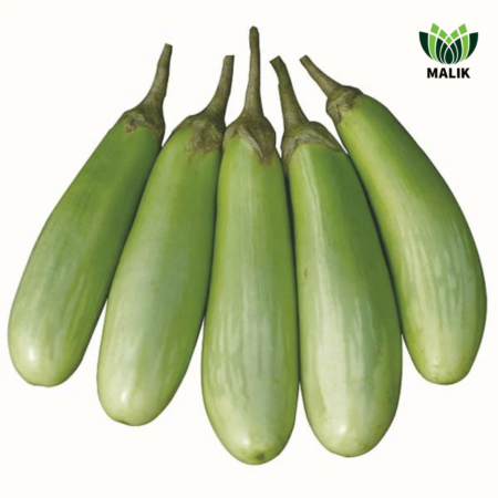 F1 Hybrid Brinjal Seeds Pretom