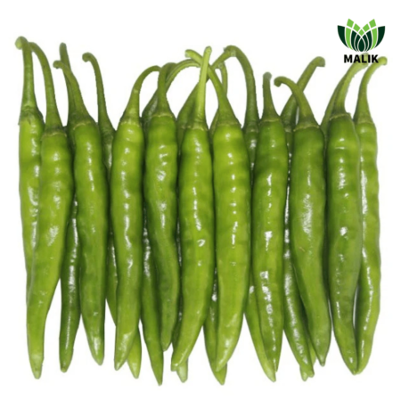 F1 Hybrid Chili Seeds Sakata