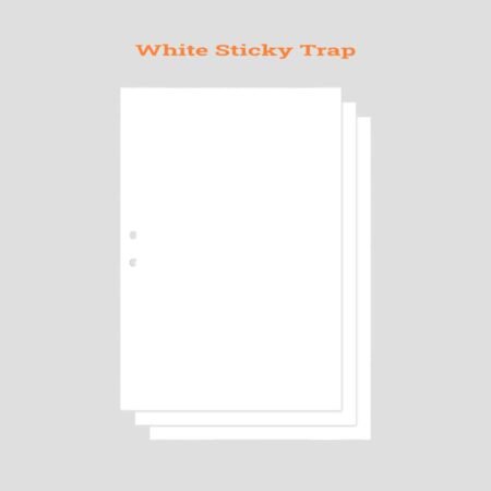 White Sticky Trap