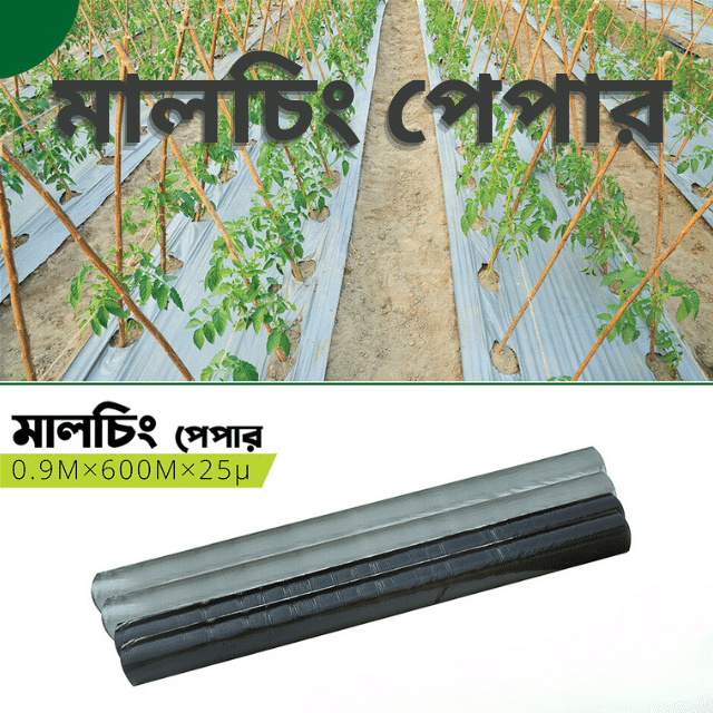 Mulching Paper (0.9M × 600M×25µ)