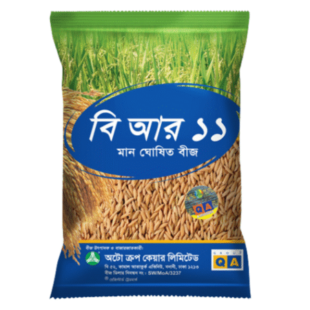 F1 Hybrid Rice Seeds BR 11