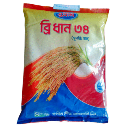 ব্রি ধান ৩৪ (সুগন্ধি)