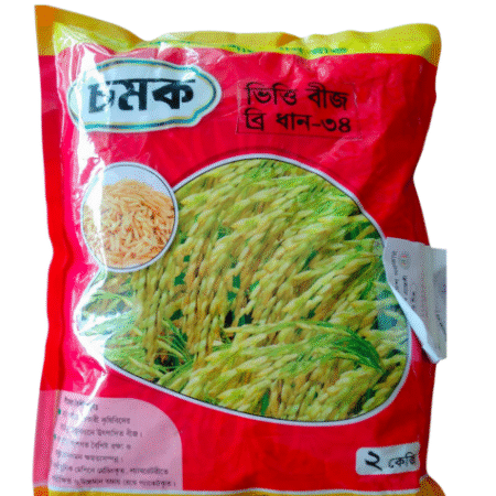 ব্রি ধান ৩৪