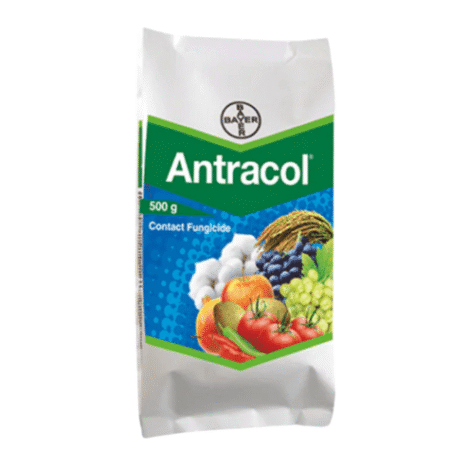 ANTRACOL