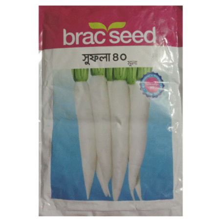 Radish Seed Sufola 40