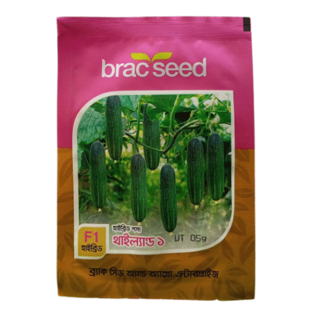 F1 Cucumber Seed Thailand 1