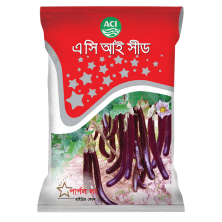 F1 Hybride Brinjal Seed Purple Long