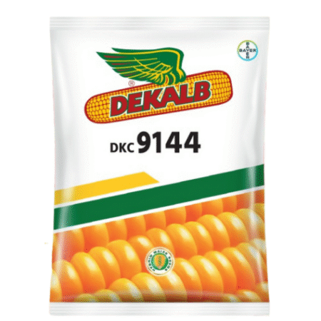 F1 Hybrid Maize Seed DKC 9144 | হাইব্রিড ভুট্টা বীজ ডিকেসি ৯১৪৪