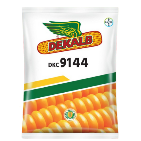 F1 Hybrid Maize Seed DKC 9144 | হাইব্রিড ভুট্টা বীজ ডিকেসি ৯১৪৪