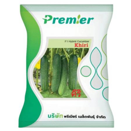 F1 Hybrid Cucumber Seed Khiri