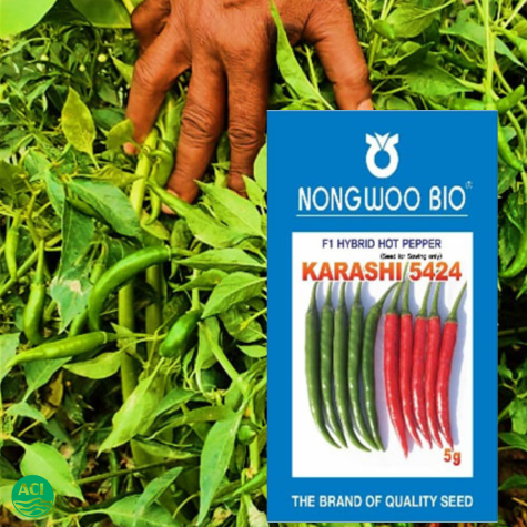 F1 Hybrid Chili Seed KARASHI 5424