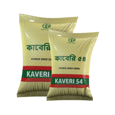Hybrid Maize Seed Kabery-54