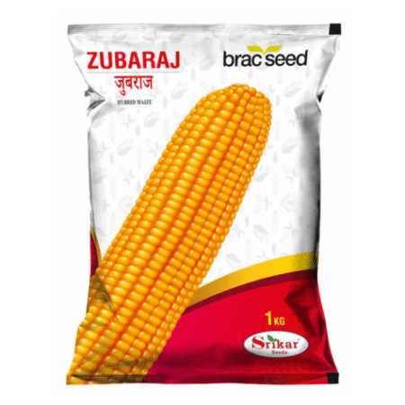 Hybrid Maize Seed Zubaraj