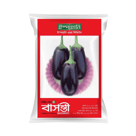 F1 Hybrid Brinjal Seed Basonti