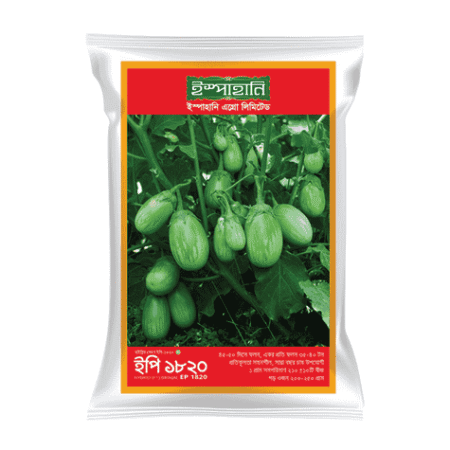 F1 Hybrid Brinjal Seed EP 1820