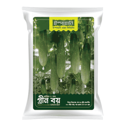 F1 Hybrid Cucumber Seed Green Boy