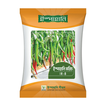 F1 Hybrid Chili Seed IR 8