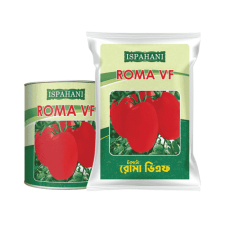 F1 Hybrid Tomato Seed Roma VF