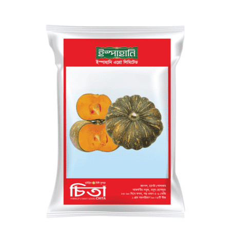 F1 Hybrid Pumpkin Seed Chita