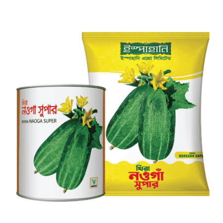 F1 Hybrid Cucumber Seed Nouga Super