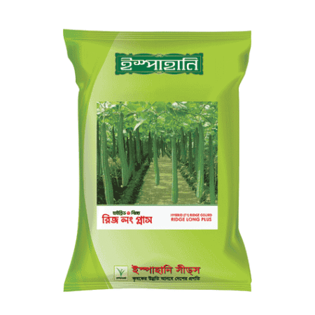 F1 Hybrid Ridge Gourd Seed Ridge Long Plus