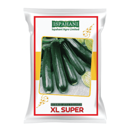 F1 Hybrid Ridge Gourd Seed XL Super