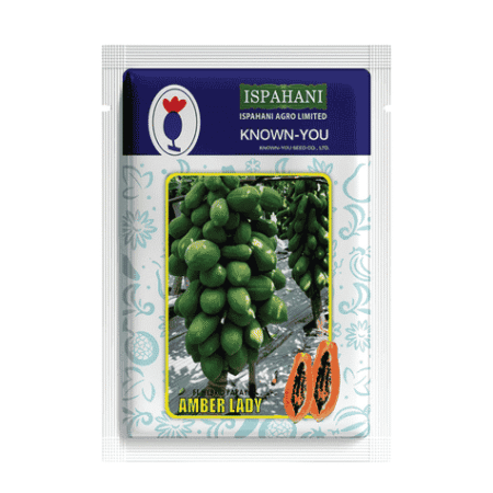 F1 Hybrid Papaya Seed Amber Lady
