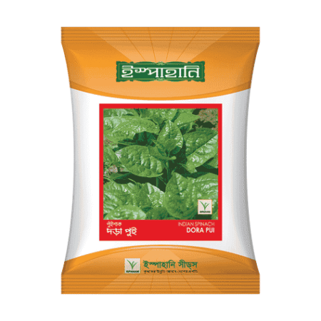 F1 Hybrid Malabar Spinach Seed Dora Pui