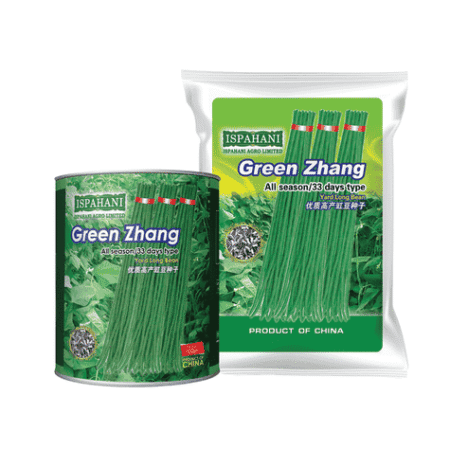 F1 Hybrid Yard Long Bean Seed Green Zhang