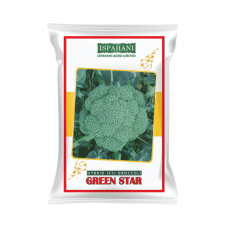 F1 Hybrid Broccoli Seed Green Star