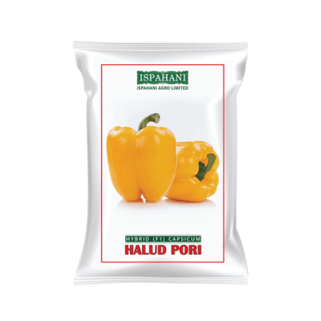 F1 Hybrid Capsicum Seed Holud Pori
